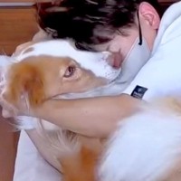 病気になり、家族と隔離生活を開始→体調不良を察した犬が…尊すぎる『愛にあふれた行動』が111万再生「心配してる」「気の毒だけど羨ましい」
