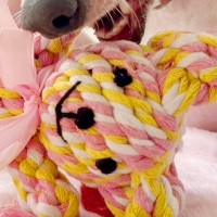 日に日に髪の毛が伸びる犬のおもちゃ→『お祓いに行くべき…？』まさかの光景に2万いいね集まる「かわいいドヤ顔ｗ」「アレンジ上手」と絶賛