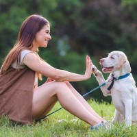 『犬は飼い主に似る』のは本当？見た目や性格に影響する理由を研究結果を基に解説