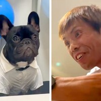 犬を飼うのに反対していた父→実際に暮らしてみた結果…思っていたのと違う『まさかの末路』が77万再生「最高すぎｗｗ」「逆に冷めてて爆笑」