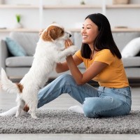 暑い夏だからこそ愛犬とふれあおう！室内でできる絆を深める遊び方とは【現役獣医が解説】