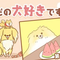 ただの犬好きです。【第325話】「狙っては…」