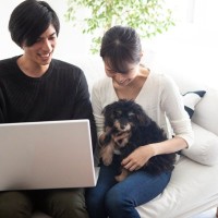 犬が『膝の上に乗ってくる』心理4選　可愛いけれど放っておいて大丈夫？注意すべき状況まで