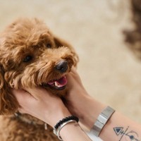 犬に『ありがとう』を伝える方法5選　心から感謝の気持ちを伝えるにはどうしたらいいの？
