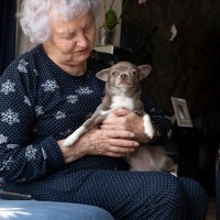 『長生きするといわれている犬種』５選　長寿の傾向があるワンコの特徴とは？