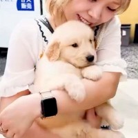 『ぬいぐるみのような大型犬の赤ちゃん』をお迎え→愛情を注いで育てた結果…まさかの成長をとげた『1歳のお姿』が16万再生「愛も体も重めｗ」