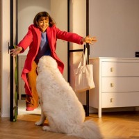 犬が『飼い主の帰宅』に敏感な3つの理由　なぜ察知できるの？ワンコたちが持つ驚きの能力とは