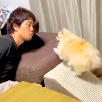 『ボールを取ってあげる代わりにチューして』と犬に伝えてみた結果…想像を超える『まさかの反応』に爆笑「もはや彼氏と彼女ｗ」「激しくて草」