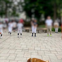 朝のラジオ体操に『散歩中の犬が参加した』結果…予想外すぎる『まさかの行動』に5万いいね集まる「ハンコくださいｗ」「監視してて草」と反響