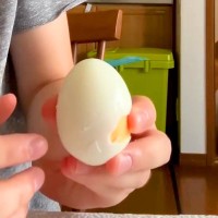『大好きなゆで卵』をこっそりむいたら、犬はいつ気づくのか検証→思わず笑ってしまう『まさかの結果』が103万再生「顔ｗｗ」「耳いいのね」