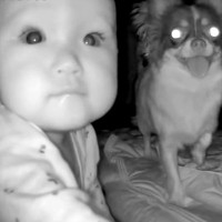 『寝かしつけたはずの赤ちゃん』をモニターで確認したら、犬と一緒に…信じられないほど尊い『まさかの光景』が103万再生「最高な友達」と反響