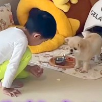 リンゴを食べている小さな男の子→犬に分けてあげようとしたら…とんでもなく尊い『素敵な展開』に反響「優しくて可愛い」「ほっこりした」