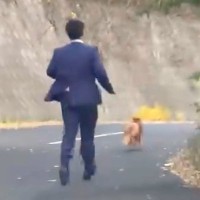 車を走らせていたら、スーツの男性が『１匹の捨て犬』を追いかけて…涙なしでは見れない『衝撃の光景』が557万再生「凄い」「ありがとう」