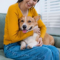 犬が飼い主に『密着してくる』心理6選　くっついてくる理由や注意すべき状況まで