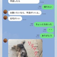 母とのLINE→いつも『犬の写真付き』で返信がきて…とんでもなく癒される『家族愛にあふれた光景』に思わずホッコリ「素敵な関係性」の声も