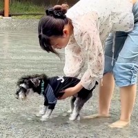 プールに連れて行った犬がフリーズ→『嫌な思いをさせてしまった』と反省していたら…3分後に見せた『まさかの変化』に反響「最高ｗ」「可愛い」