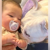 赤ちゃんを『犬と一緒に育てた結果』→いつもそばに寄り添ってくれて…涙が出るほど尊い『本物の兄弟のような様子』に「本当に微笑ましい」と反響