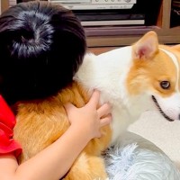 男の子に『くさい』と言われた犬→お風呂後、乾燥させていたら…想像の上をいく『コントのような光景』が34万再生「可愛すぎｗ」「笑った」