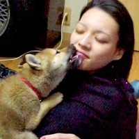 犬が苦手な女性が『彼氏の家で1匹の犬と出会った』結果…涙が止まらない『亡くなるまでの記録』が20万再生「泣いた」「成長を見てたのかな」