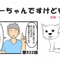 ちーちゃんですけどもっ【第322話】「バレないように行動してよ」