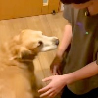 『聞いたことのない声で…』大学生の息子が５ヶ月ぶりに大型犬と再会→思わず泣ける『全身全霊で喜ぶ光景』が41万再生「涙出てきた」と反響