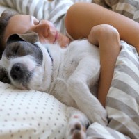 愛犬と楽しく『ストレス発散』できる方法4つ　健康的な生活を送るために取り入れたいこととは