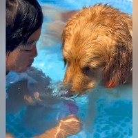 小学生の女の子の『夏休み』を朝から観察した結果→大型犬と一緒に…尊すぎる『幸せな日常』が5万再生「癒された」「めっちゃ可愛い」と反響