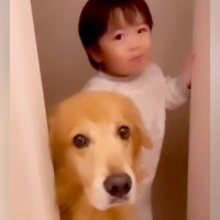 トイレをしていたら、毎回乱入してくる小さな男の子と大型犬…３年後→癒される日常が24万再生「なんて可愛いの」「ほのぼのしてる」と反響