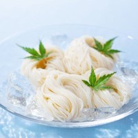 犬に『そうめん』を食べさせても大丈夫？与える際の5つの注意点とは？