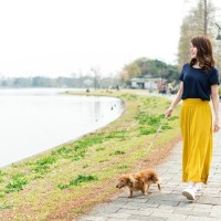 犬が死ぬ可能性のある『散歩方法』5選　外出時に潜む危険や今すぐ直すべき絶対NG行為まで