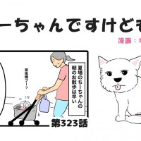 ちーちゃんですけどもっ【第323話】「チワワのムサシ」