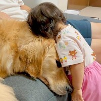 小さな女の子へ『大好き』を伝える大型犬→次の瞬間…気持ちに応えた『悶絶級の行動』が37万再生「ピュアで泣いた」「尊すぎる…」と絶賛の声