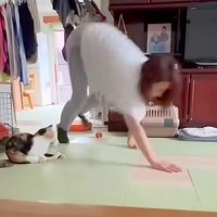 何気なく家の中のカメラを見てみたら、母親が犬と…衝撃的すぎる『まさかの奇行』が1900万再生「フォーム綺麗で草」「猫ドン引きしてるｗｗ」