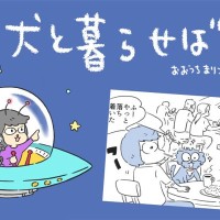 犬と暮らせば【第504話】「特別じゃないという幸せ」