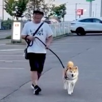 『犬が動かなくなった』とパパから電話→車で迎えに行った結果…思っていたのと違う『まさかの光景』が211万再生「めっちゃニコニコで草」
