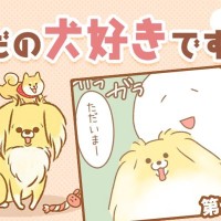 ただの犬好きです。【第327話】「帰省しました②」