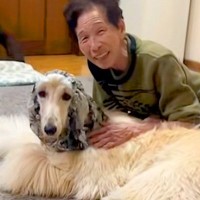 おばあちゃんの家に訪れた大型犬→『帰るよ』と伝えると…まさかの『人間の子どものような行動』が36万再生「素敵」「気持ちわかる」と反響