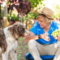 犬に絶対NGな『秋の味覚』3選　超危険な食材や万が一食べてしまったときの症状とは