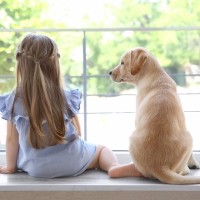 犬が『お気に入りの場所』ばかりで過ごす理由5選　習性を理解して信頼関係を深めよう