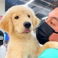 『赤ちゃんのときが一番』と言われた大型犬の赤ちゃんを飼ったら…あまりにも尊い『おとなに成長した光景』が28万再生「最高」「ずっと可愛い」
