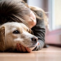 愛犬を苦しめる『愛情表現』5選　絶対やってはいけないタブー行為やストレスを与えない接し方まで