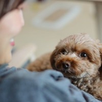 『愛情が過剰すぎる飼い主』7つの特徴　愛犬の幸せを損なうリスクのある接し方とは