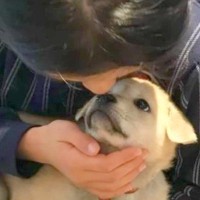人間関係に疲れた９歳の女の子が『保護犬を飼いたい』と親に説得→危険かもと心配していたら…涙あふれる光景に感動「愛が伝わった」「優しい子」