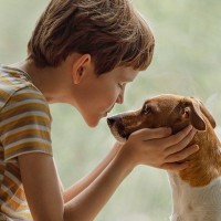 犬に『ありがとう』の気持ちを伝える方法４選　言葉が通じないワンコにどう接するべき？愛犬に感謝するメリットまで