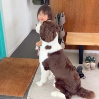 ドアの前でパパの帰りを待つ『女の子と大型犬』→帰ってきた瞬間…愛おしくてたまらない『おかえりなさい』に反響「1秒でも早く帰りたくなる」