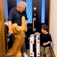 ２日ぶりに帰ってきた父→玄関で『男の子と大型犬』がお出迎えしてくれて…離れたくなくなる『愛おしい歓迎』に反響「最高の癒し」「大喜び」
