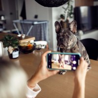 飼い主が無意識にやりがちな『親バカ行為』5つ　ついつい愛情が過剰になっていませんか？