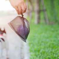 犬の飼い主が注意すべき他人への配慮7つ　トラブルを防ぐために心掛けておくべきこととは