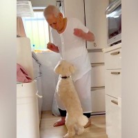 犬が好きじゃない『97歳のおじいちゃん』→キッチンで14歳の老犬と…思わず微笑んでしまう『尊い光景』が話題　ぎこちないやり取りにほっこり