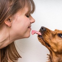 犬に舐めさせてはいけない『体の部位』２選　自分をしつこく舐める原因ややめさせる方法とは？
